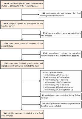 Gonadal hormones and metabolic syndrome in middle-aged and elderly males: results from a prospective cohort study in China